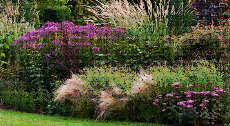 Grasses, shrubs, perennials and ground cover plants